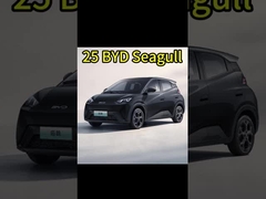 Xe điện Trung Quốc